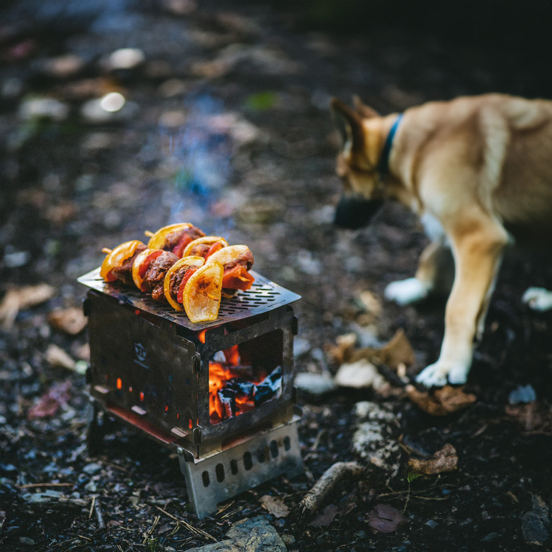 Camping Charcoal Grill, Design portatile